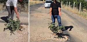 Çukurlar halkı canından bezdirdi Seslerini duyurmak için yol ortasına ağaç diktiler