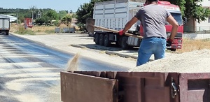 Edirne’de kavurucu sıcaklar asfaltı eritti: Belediye ekipleri yola kum serdi