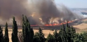 Büyükçekmece’de korkutan yangın Rüzgarın etkisiyle büyüdü