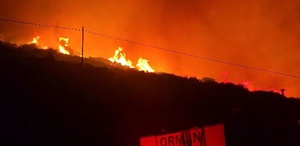 İzmir’de makilik alanda yangın