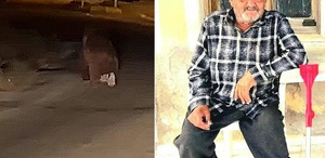 İzmir’de ayı dehşeti Balkonda uyurken canını aldı, bir de 20 metre sürükledi