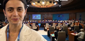 Ortadoğu uzmanı gazeteci Feyza Gümüşdoğulu: Ankara Zirvesi NATO’nun geleceği açısından tarihi öneme sahip
