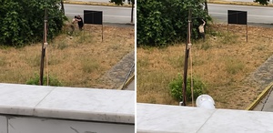 Kocaeli’nde, tartıştığı amcasını palayla öldüren yeğen yakalandı