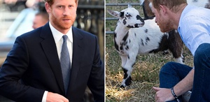 Prens Harry’ye beklenmedik darbe Yanındakiler hemen espriyi patlattı