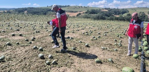 Süper hücre Tekirdağ’ı vurdu Felaketin boyutu gün ağarınca ortaya çıktı