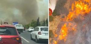 Manisa’nın Akhisar ilçesinde ormanlık alanda yangın