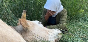 Türkiye’nin gündemine oturan teyzenin yüzünü güldürdüler