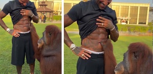 Orangutan, Quaresma’nın kaslarına hayran kaldı