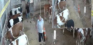 Okulu bitirip babasının yanına dönen genç, ahırda kabusu yaşadı