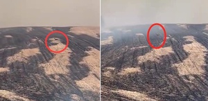 Yangın bölgesinden yürek yakan görüntü Can havliyle kaçtı