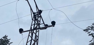 Firari hükümlü elektrik akımına kapılarak öldü