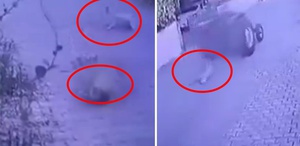 Dikili’de köpeklere ateş açan şüpheli tutuklandı