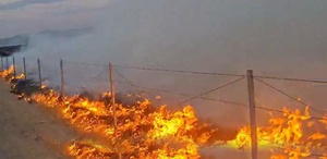 Gordion kazı alanını ateşe verdi: Alkollü şüpheli tutuklandı