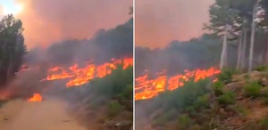 Aydın’ın Kuyucak ilçesindeki orman yangını saatlerdir söndürülemedi