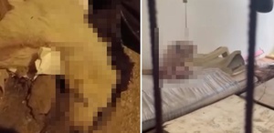 Pire istilasına uğrayan sokakta kan donduran görüntüler