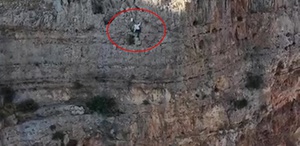 600 metrelik uçurumda tehlikeli hasat Kilosu 15 bin liradan satılıyor