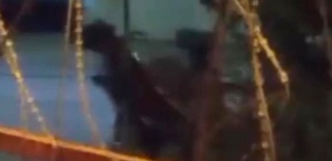 Ata dakikalarca şiddet uyguladı, dehşete düşüren anlar kameraya yansıdı