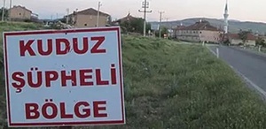 Ardahan’da kuduz vakası nedeniyle bir bölge karantinaya alındı