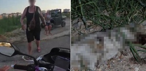 Alman vatandaşı köpeği önce ezdi sonra taşla vurarak öldürdü