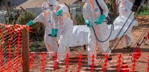 Ebola salgını yayıldı, DSÖ’den hükümetlere acil çağrı geldi
