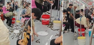 Metroda yılan paniği Gerçek ortaya çıkınca yolcular da şaşırdı