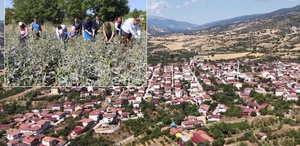 Bir ilçenin kaderini değiştiren ürün Altından daha kolay satılıyor