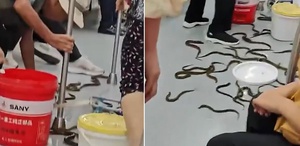 Metroya onlarcası saçıldı, ortalık karıştı