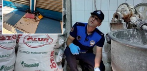 Sofralara gelecekti Her yeri böcek saran fırın sahibinden çileden çıkaran sözler