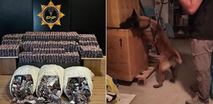 Hırsızlık ihbarına gittiler, kilolarca uyuşturucu ele geçirdiler