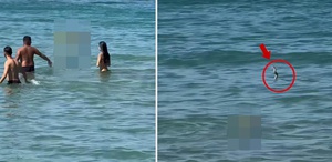 Plajda gergin anlar Görenler denizden hemen çıktı