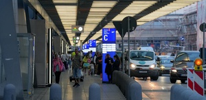 Almanya’da alarm: Uçakla gelen sivrisinek 2 kişinin ölümüne yol açtı