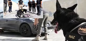 Zehir tacirlerinin korkulu rüyası emekli oldu