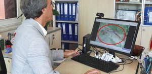 İstanbul’da akrep alarmı Uzmanlardan kritik uyarlar var