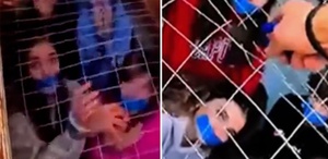Bu halde bulundular Ortaya çıkan görüntüler dehşete düşürdü