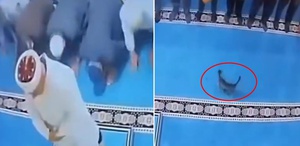 Namazda akılalmaz olay Tekmelediği kedi imamın başına çarptı