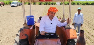 Saruhanlı Belediye Başkanı Ekrem Cıllı üzüm hasadında elini makineye kaptırdı