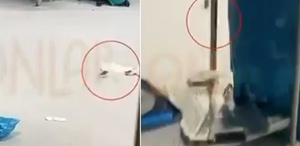 Görüntüler İstanbul’daki hastanenin ameliyathanesinden Hasta masadayken fareler dolaştı