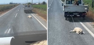 Köpeği kamyonetin arkasına bağlayıp sürükleyerek götürdü