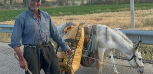 74 yaşındaki çiftçi, 2 dönüm arazide ter döküyor Tek yardımcısı eşeği