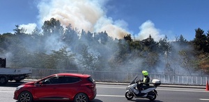İstanbul’da otluk alanda yangın Ekipler zamanla yarışıyor