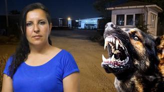 Saldırgan köpekleri almaya giden muhtarı bahçeye kilitlediler