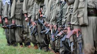 Silah bırakan PKK lı gruptan açıklama: Silahlarımızı özgür irademizle imha ediyoruz