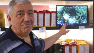 Dilencinin günlük kazancı 30 yıllık esnafa küçük dilini yutturdu