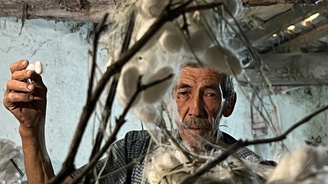 Evinin altında ipek böceği yetiştirerek 40 günde 216 bin TL kazandı