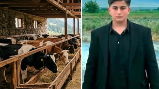 Iğdır da büyükbaş hayvanın darbesiyle ağır yaralanan kişi hayatını kaybetti