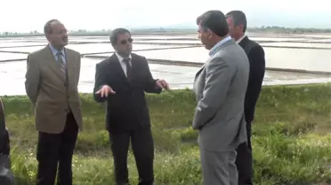 Manyas'ta Çeltik Ekimi İçin Bakanlık Karar Verecek