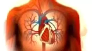 İstanbul'da Organ Bağışı Rekor Kırdı