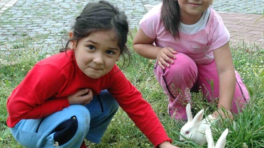 Miniklerin Tavşan Sevgisi