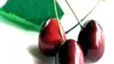 Dalları Kiraz Bastı