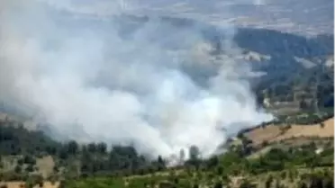 Demirci'de Orman Yangını